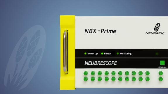 Header NBX PRIME - V02